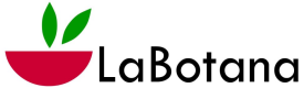 Labotana